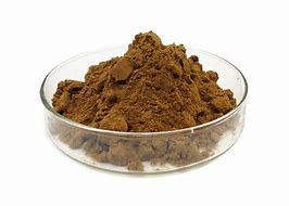 Shilajit Extract Powder - 8 oz