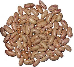 Pinto Beans, Organic - 5 Lbs