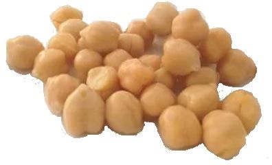 Garbanzo Beans, Organic - 5 Lbs.