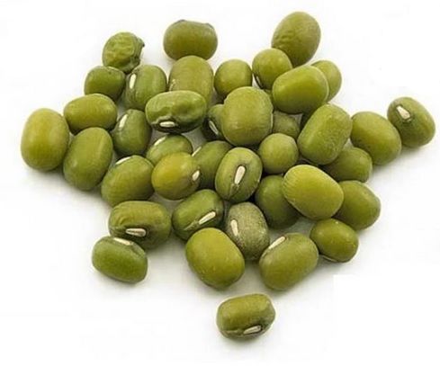 Mung Beans, Organic - 5 Lbs.