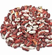 Anasazi Beans