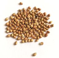 Buckwheat Roasted Kasha, Organic